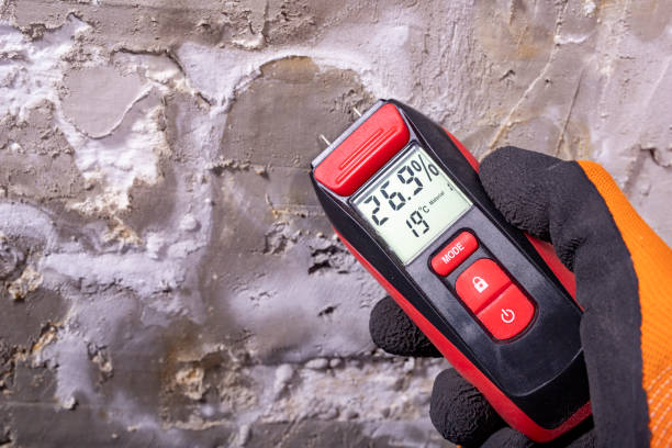 Best Mold Testing  in Colstrip, MT