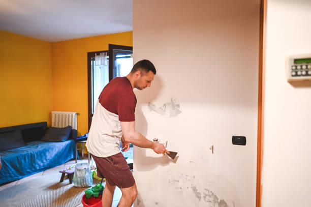 Best Mold Cleaning Services  in Colstrip, MT
